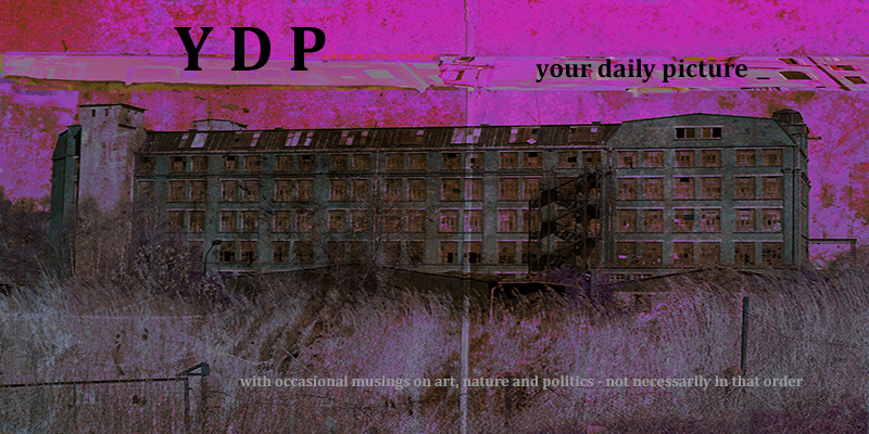 YDP – your daily picture